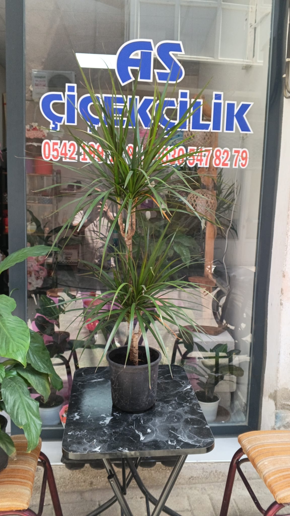 As Çiçekçilik